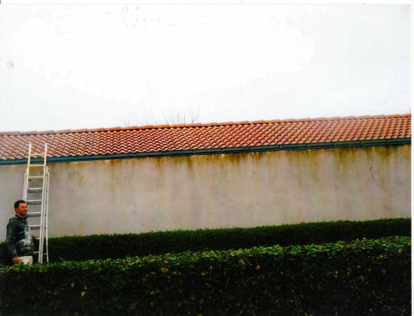demoussage toiture